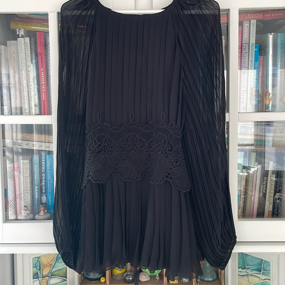 Gorgeous P.A.R.O.S.H. top with sheer sleeves and lace adjustable tie waist.